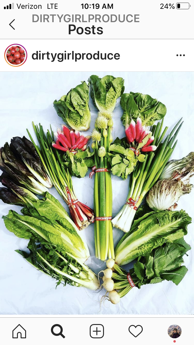 Dirty Girl Produce Salad Box