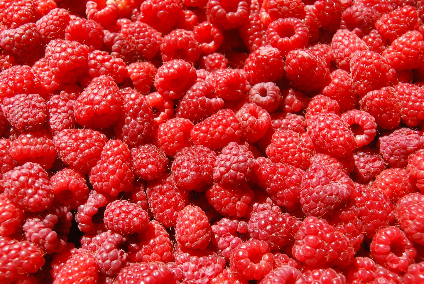 Raspberries, 1/2 flat