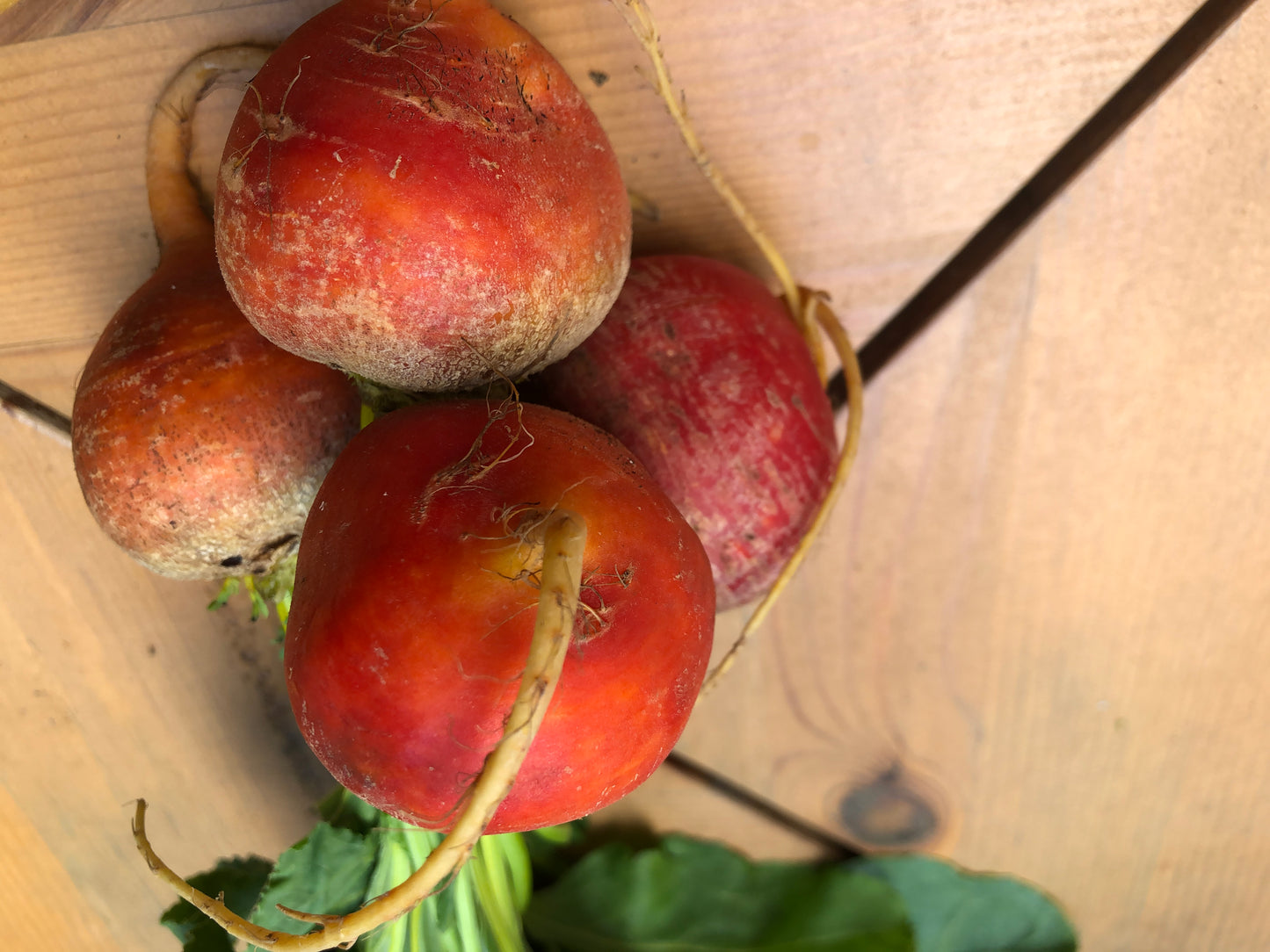 Beets, 2 small