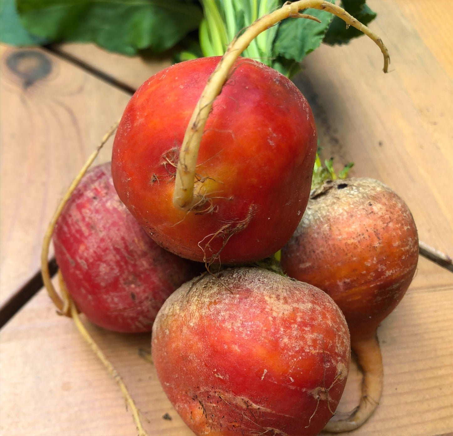 Beets, 2 medium