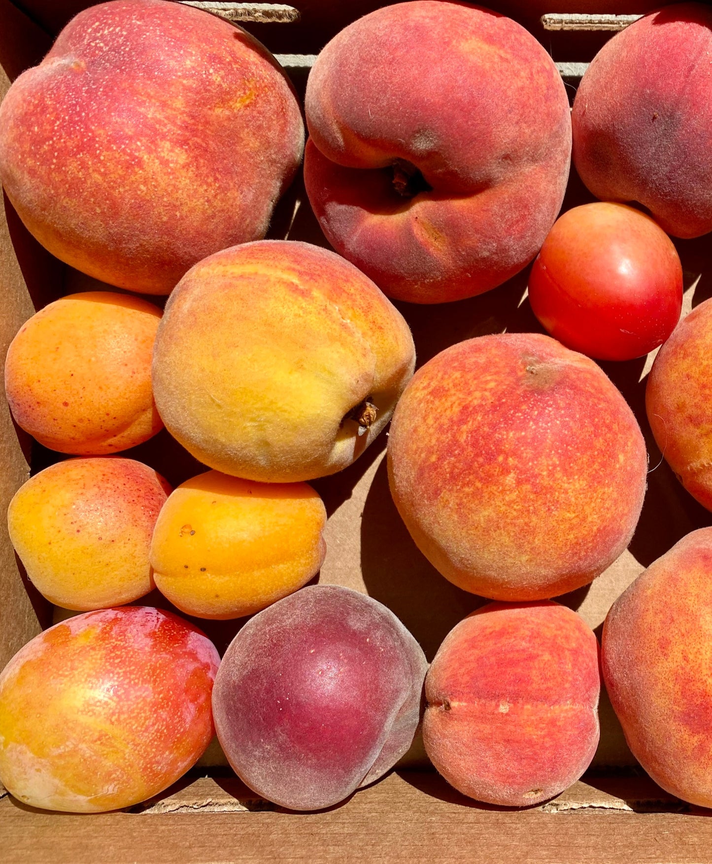 Stone fruit, 1/2 lb various (plums, peaches etc.)