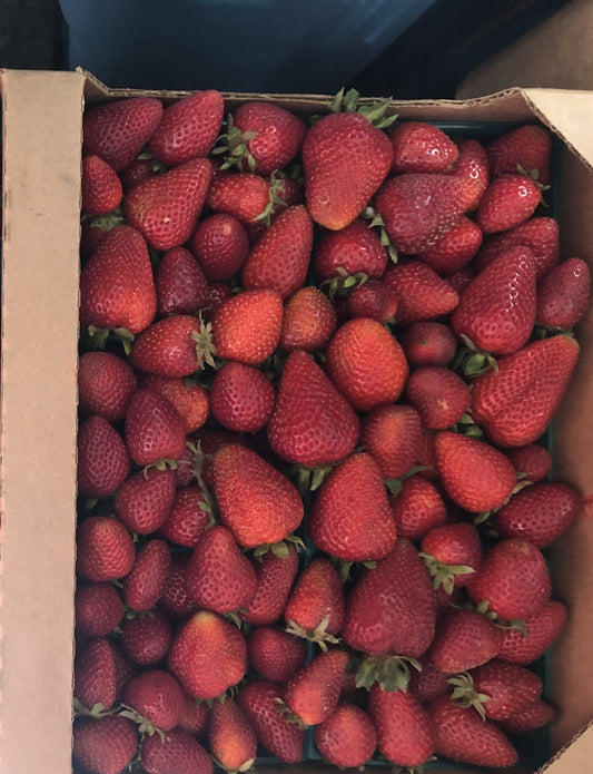 Fresh strawberries: 1 Flat (12 pints) of delicious Monterey Variety strawberries