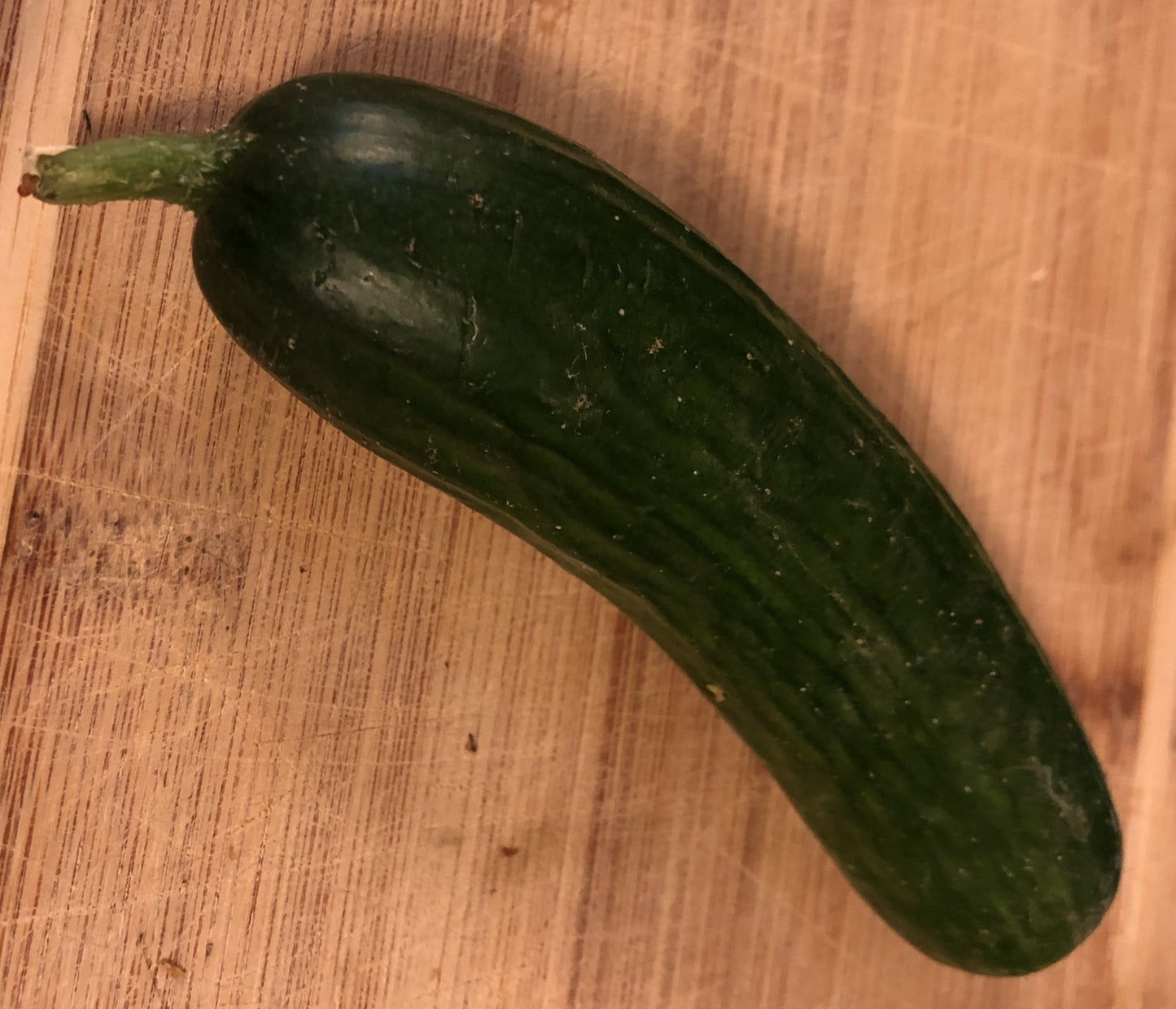 Cucumbers, Persian -2