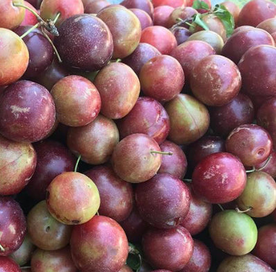 Plums, 1/2 lb