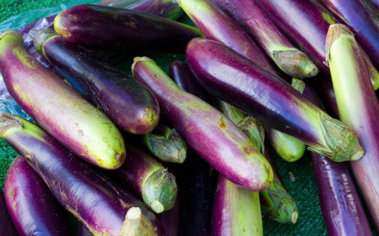 Japanese eggplant