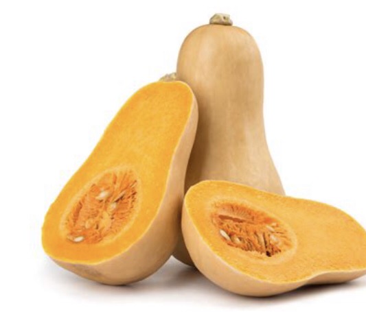 Butternut , medium