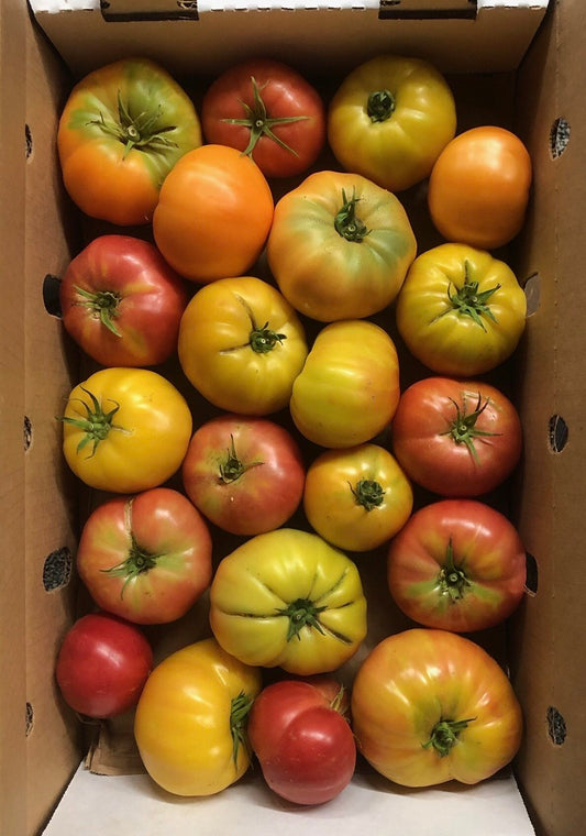 Heirloom tomatoes - single layer flat