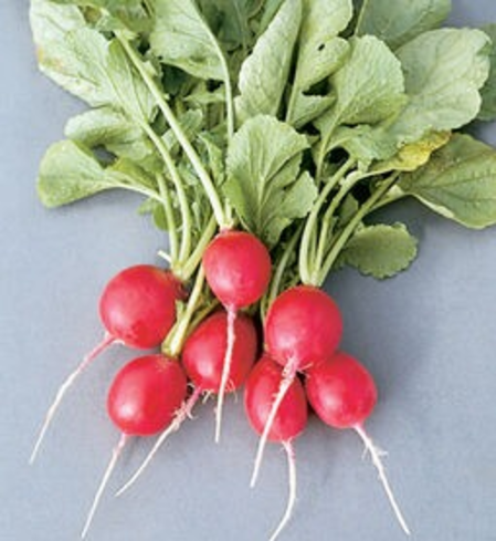 Radishes, red