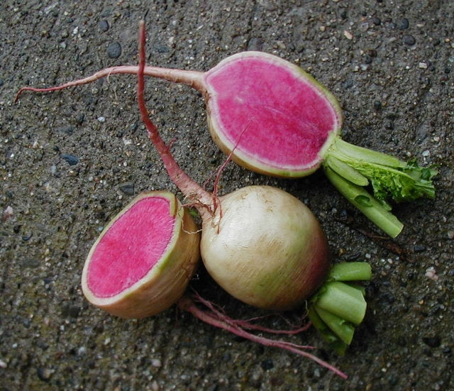 Radishes, watermelon (one large)