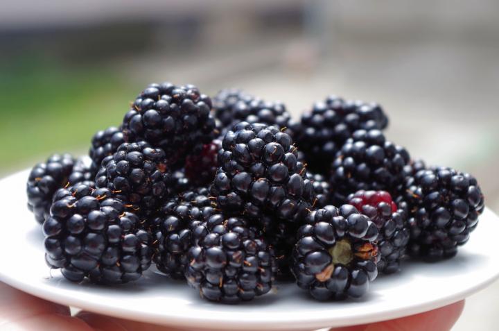 Blackberries, 1/2 flat