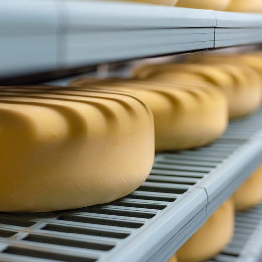 Schoch cheese (Monterey Jack) 1/2 lb