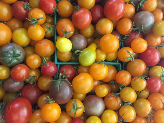 Cherry tomatoes, (mixed, one pint)