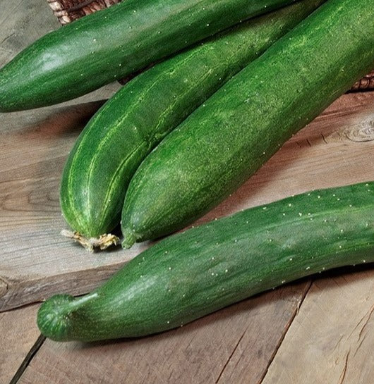 Asian cucumber, 1 piece