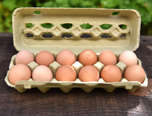 Pasture-raised Eggs (dozen)