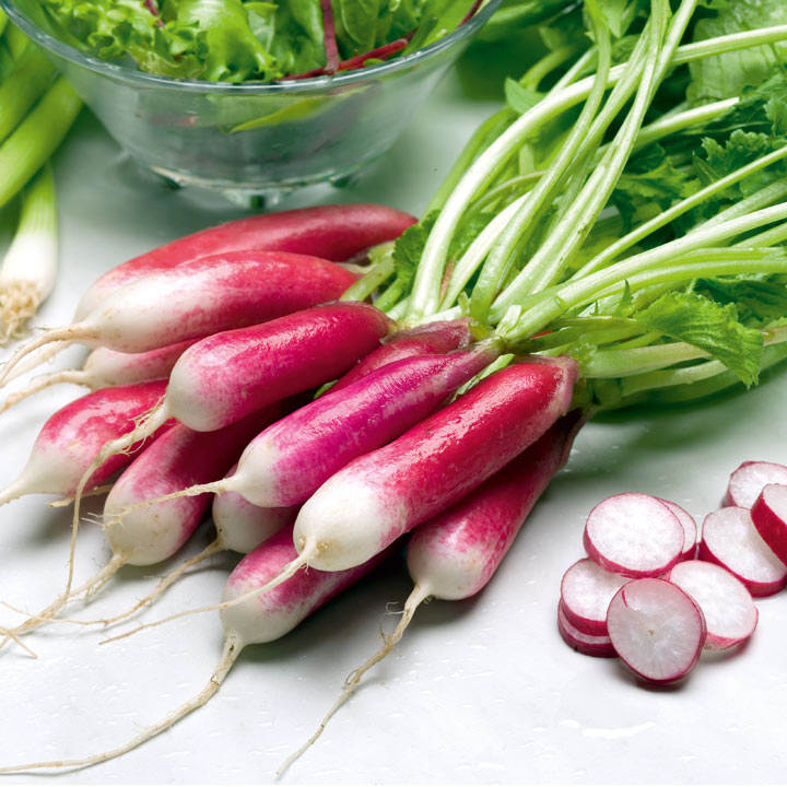 Radishes, French Breakfast