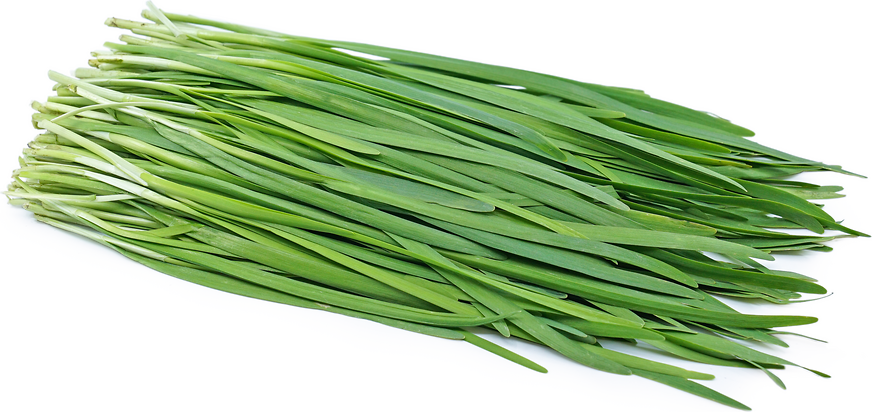 Garlic chives, 1 bunch