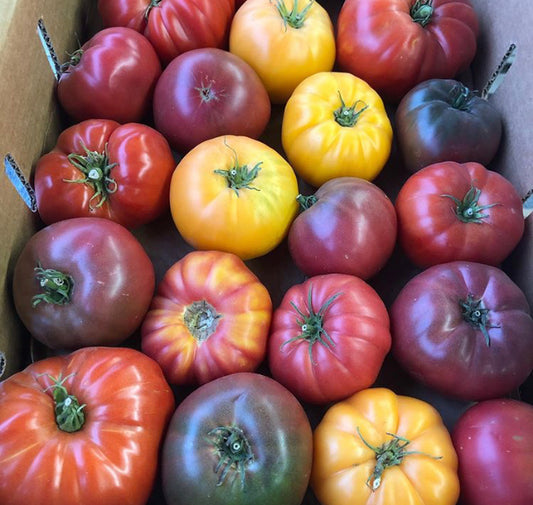 Heirloom tomato