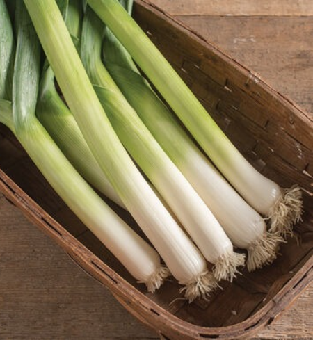 leeks, 2