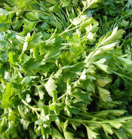 Parsley, one bunch