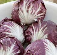 Red Radicchio, 1 head