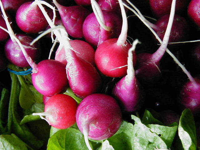 Radishes, one bunch