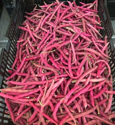 Fresh shelling beans, 1/2 lb