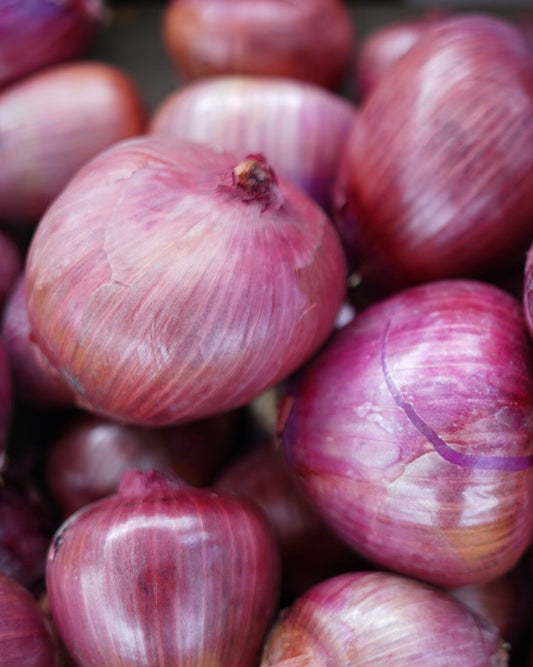 Onions, Rosa di Milano (1/2 pound)