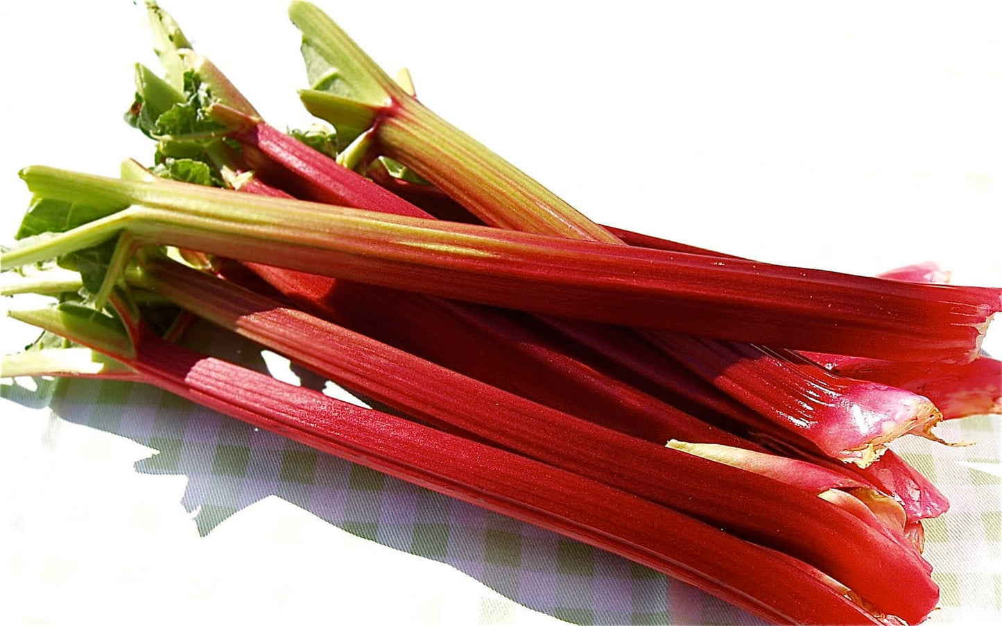 Rhubarb, 1 lb