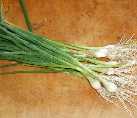 Scallions, 1 bunch