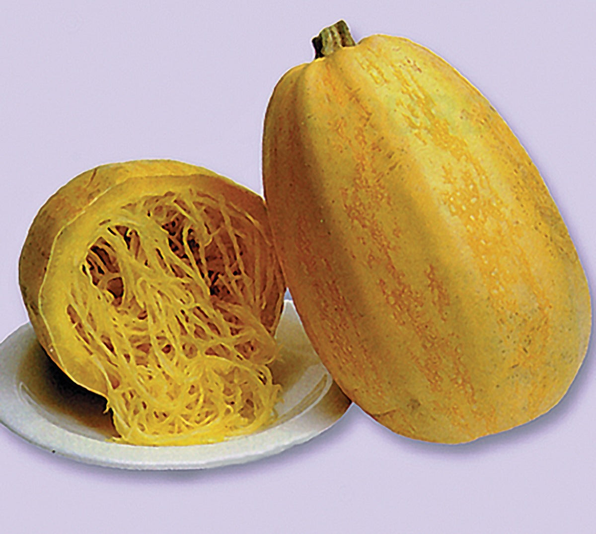 Spaghetti squash