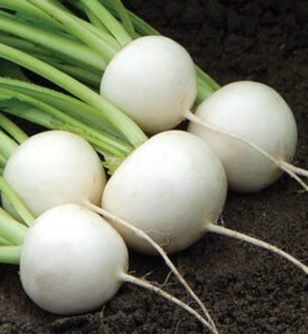 Turnips, 2 small