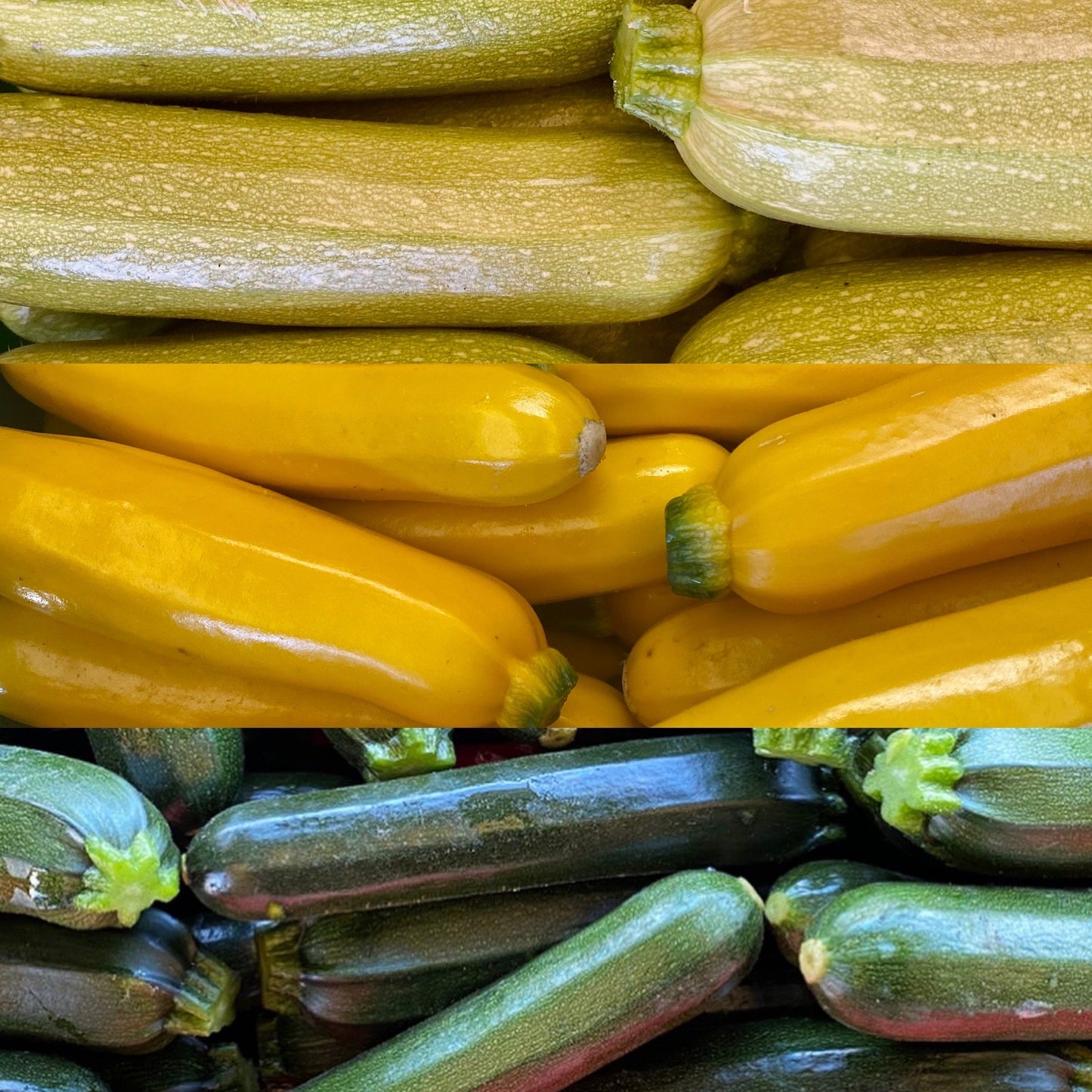 Summer squash, ~1/2 lb